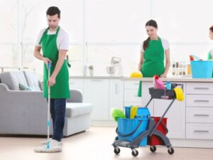 Cleaning Tips for Busy Professionals on Tight Schedules | Pure Glow Cleaning Services