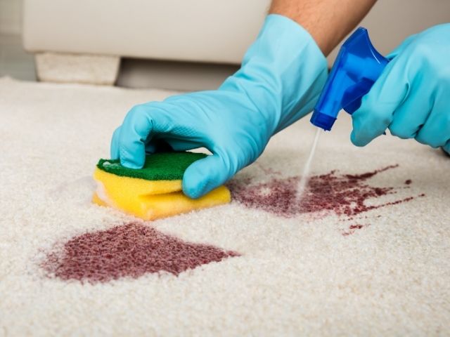From Grime to Shine: How Much Does a Deep Clean Actually Cost? | Pure Glow Cleaning Services